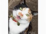 Happy Birthday Cards that Sing Singing Tabby Happy Birthday Greeting Cards Zazzle