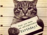 Happy Birthday Cards with Cats 45 Cat Birthday Memes Wishesgreeting