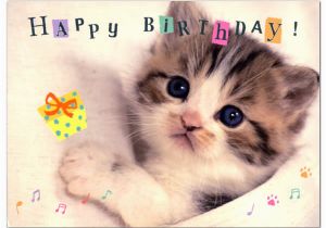 Happy Birthday Cards with Cats ashiya Hori Mansho Do Rakuten Global Market Birthday