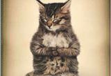 Happy Birthday Cards with Cats Cat Memes Happy Birthday Cat Memes Funny Cat Memes