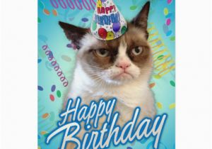 Happy Birthday Cards with Cats Happy Birthday Grumpy Cat Greeting Cards Zazzle