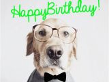 Happy Birthday Cards with Dogs 41 Best Funny Birthday Wishes for Birthday Boy Girl Aunt