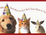 Happy Birthday Cards with Dogs Happy Birthday Quotes for Dogs Quotesgram