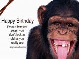 Happy Birthday Cards with Monkeys From A Few Feet Away You Don 39 T Look as Old