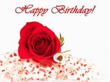 Happy Birthday Cards with Roses Happy Birthday Card with Red Rose Gallery Yopriceville
