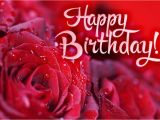 Happy Birthday Cards with Roses Happy Birthday Roses Images Birthday Roses Pictures