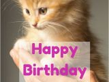 Happy Birthday Cat Quotes 25 Best Ideas About Cute Birthday Wishes On Pinterest