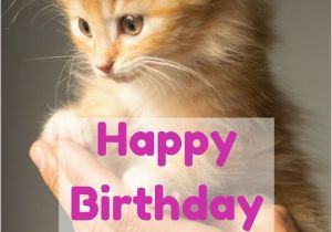 Happy Birthday Cat Quotes 25 Best Ideas About Cute Birthday Wishes On Pinterest