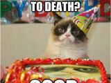 Happy Birthday Cat Quotes 25 Happy Birthday Funny Quotes Quotes Words Sayings