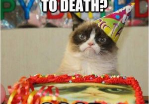 Happy Birthday Cat Quotes 25 Happy Birthday Funny Quotes Quotes Words Sayings