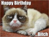 Happy Birthday Cat Quotes 56 Best Grumpy Cat Birthday Images On Pinterest Grumpy