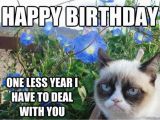 Happy Birthday Cat Quotes 58 Grumpy Cat Birthday Wishes