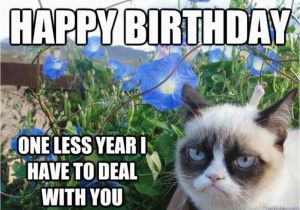 Happy Birthday Cat Quotes 58 Grumpy Cat Birthday Wishes