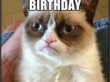 Happy Birthday Cat Quotes Happy Birthday Funny Grumpy Quotes Quotesgram