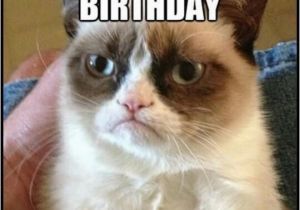 Happy Birthday Cat Quotes Happy Birthday Funny Grumpy Quotes Quotesgram