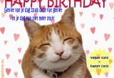 Happy Birthday Cat Quotes Happy Birthday Hairless Cat Quotes Litle Pups