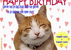 Happy Birthday Cat Quotes Happy Birthday Hairless Cat Quotes Litle Pups