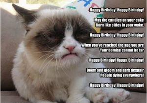 Happy Birthday Cat Quotes Happy Birthday Happy Birthday May the Candles On Your