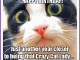 Happy Birthday Cat Quotes Happy Birthday Memes with Funny Cats Dogs and Cute Animals