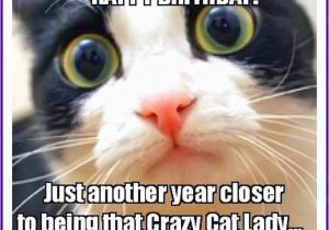 Happy Birthday Cat Quotes Happy Birthday Memes with Funny Cats Dogs and Cute Animals