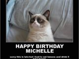 Happy Birthday Cat Quotes Happy Birthday Michelle Quotes Quotesgram