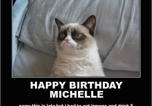 Happy Birthday Cat Quotes Happy Birthday Michelle Quotes Quotesgram