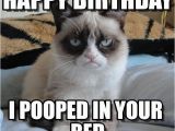 Happy Birthday Cat Quotes Incredible Happy Birthday Memes for You top Collections