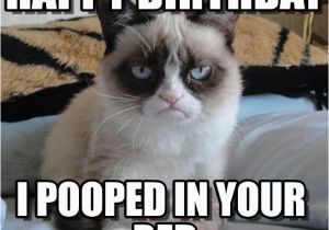 Happy Birthday Cat Quotes Incredible Happy Birthday Memes for You top Collections