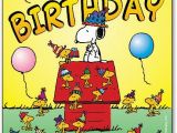 Happy Birthday Dentist Quotes Snoopy Birthday Hat Postcard Smartpractice Dental