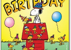 Happy Birthday Dentist Quotes Snoopy Birthday Hat Postcard Smartpractice Dental