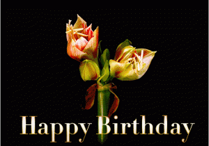 Happy Birthday Flowers Animated Beautiful Flowers Happy Birthday Gif Wishes to Share