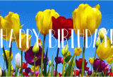 Happy Birthday Flowers Animated Designer Happy Birthday Gifs to Send to Friends