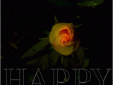 Happy Birthday Flowers Animated Designer Happy Birthday Gifs to Send to Friends