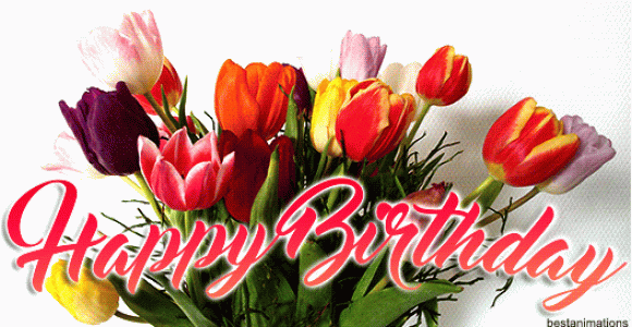 Happy Birthday Flowers Animated Designer Happy Birthday Gifs to Send to Friends