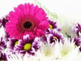 Happy Birthday Flowers Buke Happy Birthday Flowers Bouquet Free Stock Photos Download