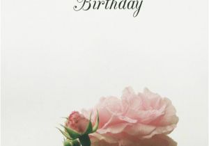 Happy Birthday Flowers for A Friend 115 Best Happy Birthday Flower Images On Pinterest