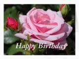 Happy Birthday Flowers for Girlfriend Pink Rose Flowers Happy Birthday Love Girlfriend Card