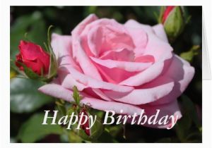 Happy Birthday Flowers for Girlfriend Pink Rose Flowers Happy Birthday Love Girlfriend Card