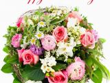 Happy Birthday Flowers for Him Happy Birthday Fresh Flowers Stock Photo Colourbox