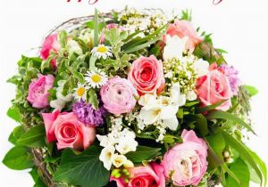 Happy Birthday Flowers for Him Happy Birthday Fresh Flowers Stock Photo Colourbox