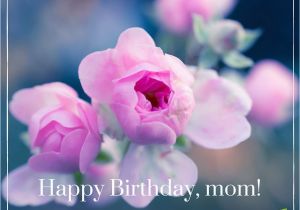 Happy Birthday Flowers for Mom Happy Birthday Images