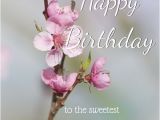 Happy Birthday Flowers for Mom Happy Birthday Images that Make An Impression