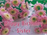 Happy Birthday Flowers for Sister Happy Birthday Wishes for Sister Quotes Messages Images