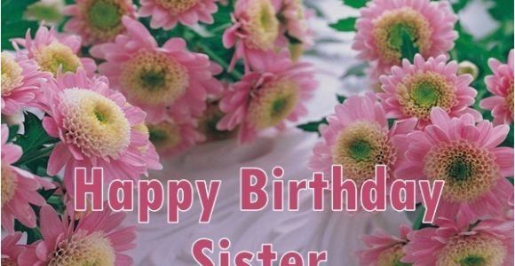 Happy Birthday Flowers for Sister Happy Birthday Wishes for Sister Quotes Messages Images