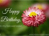 Happy Birthday Flowers for Sister Sisters are forever Birthday Wishes for Your Sister