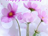 Happy Birthday Flowers Graphics 25 original Happy Birthday Pictures to Make someone 39 S