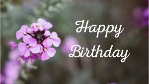 Happy Birthday Flowers Graphics Floral Wishes Ecards Free Birthday Images with Flowers