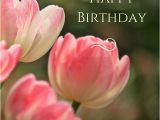 Happy Birthday Flowers Images for Facebook 160 Best Happy Birthday Flower Images On Pinterest