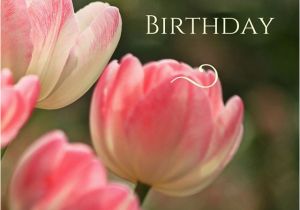 Happy Birthday Flowers Images for Facebook 160 Best Happy Birthday Flower Images On Pinterest