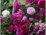 Happy Birthday Flowers Images for Facebook Happy Birthday Flowers Cards for Facebook 5 0 Apk